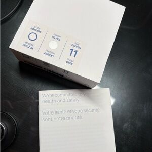 Oura Ring GEN3 size 11 Silver Horizon Style